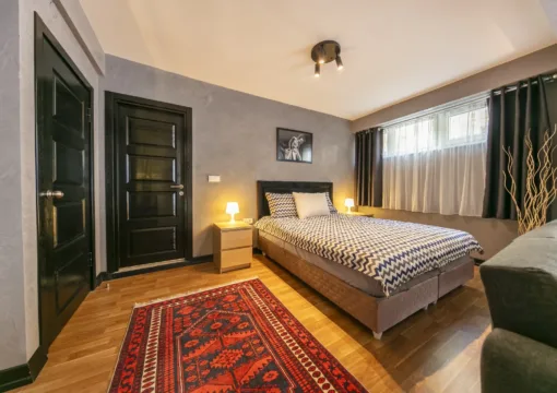 King Suite with Terrace