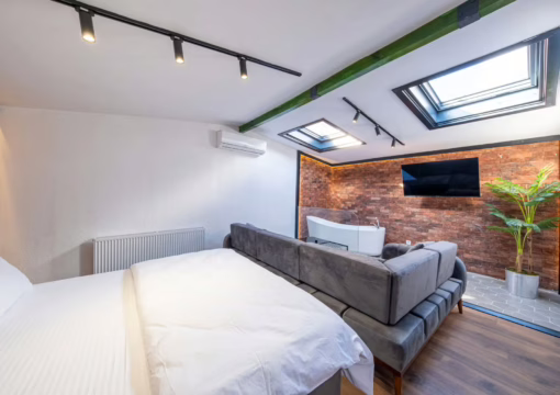 VIP Roof Studio